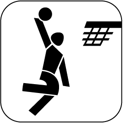 icon_basketball_schwarz_auf_weiss_250px